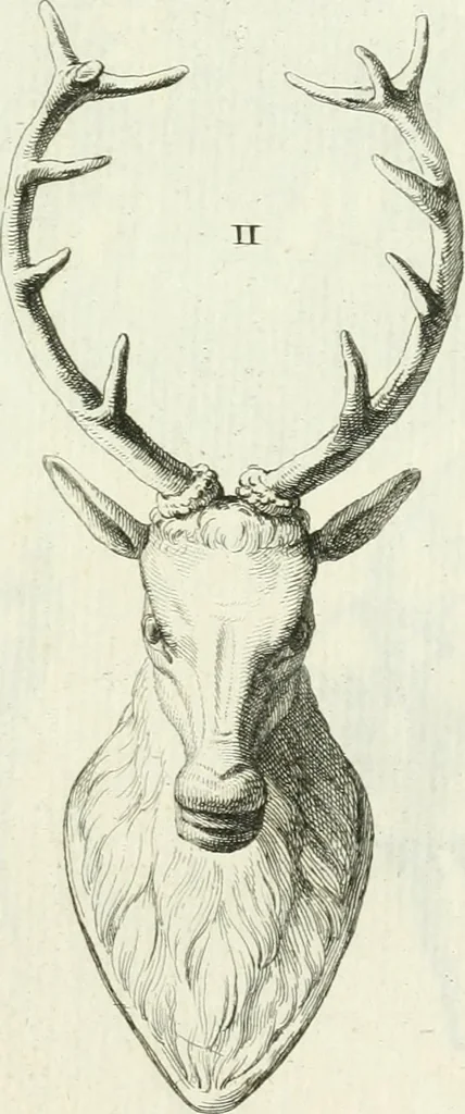 An illustration from Recueil d'antiquités egyptiennes, etrusques, grecques et romaines, 1756, leaf 474