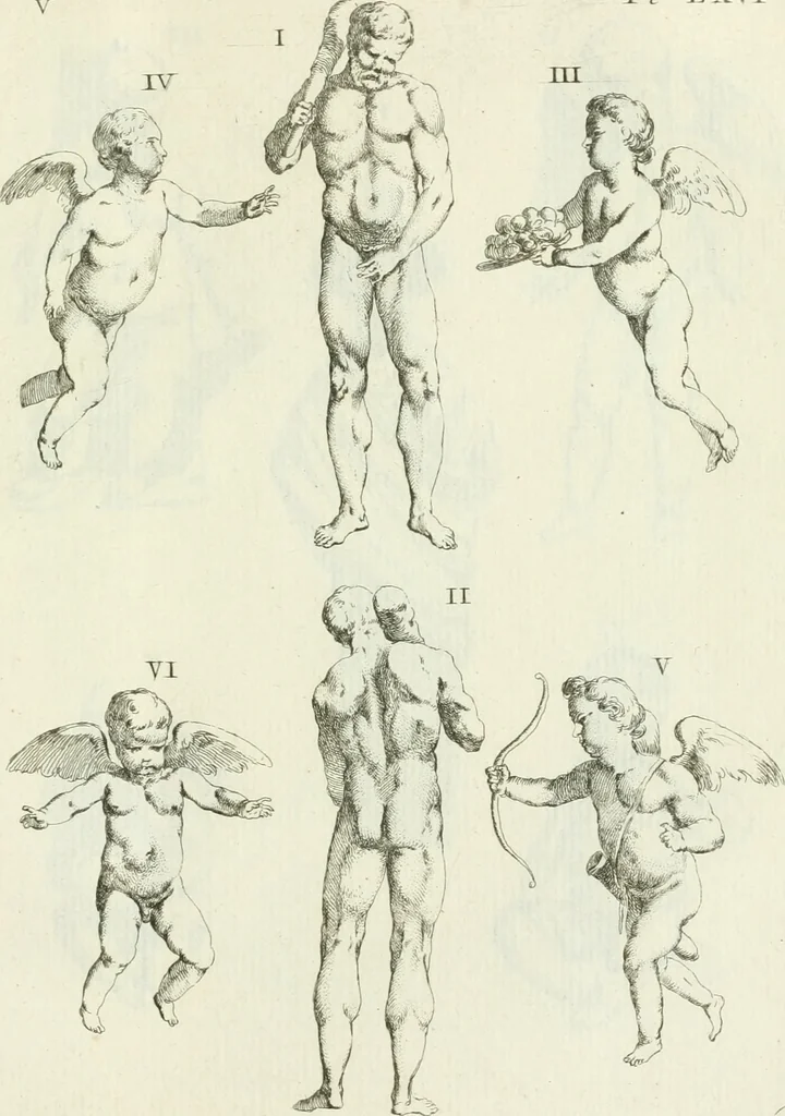 An illustration from Recueil d'antiquités egyptiennes, etrusques, grecques et romaines, 1756, leaf 510