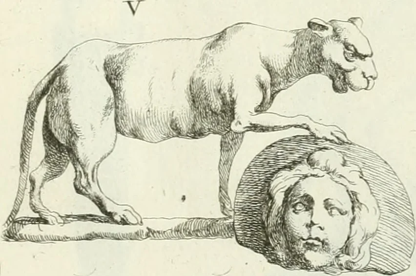 An illustration from Recueil d'antiquités egyptiennes, etrusques, grecques et romaines, 1756, leaf 514