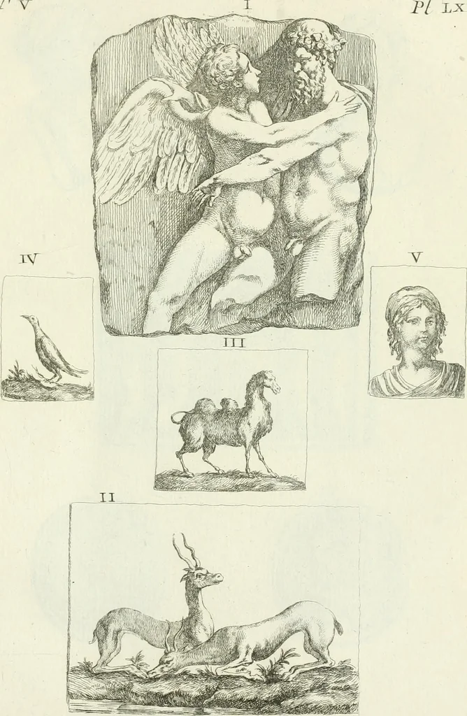 An illustration from Recueil d'antiquités egyptiennes, etrusques, grecques et romaines, 1756, leaf 520