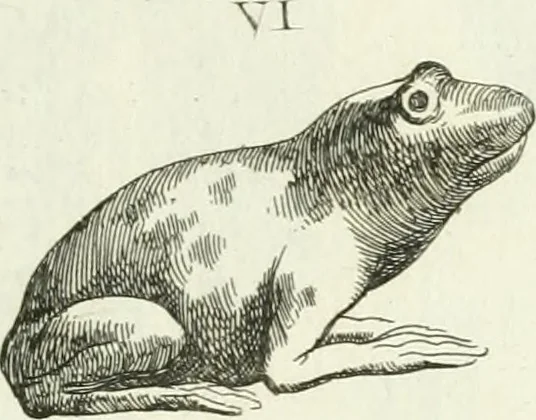 An illustration from Recueil d'antiquités egyptiennes, etrusques, grecques et romaines, 1756, leaf 548