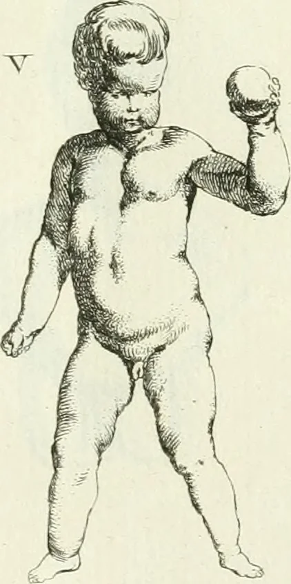 An illustration from Recueil d'antiquités egyptiennes, etrusques, grecques et romaines, 1756, leaf 552