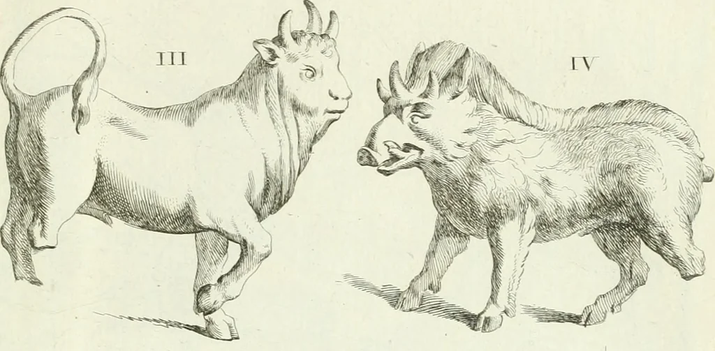 An illustration from Recueil d'antiquités egyptiennes, etrusques, grecques et romaines, 1756, leaf 594