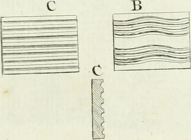 An illustration from Recueil d'antiquités egyptiennes, etrusques, grecques et romaines, 1756, leaf 608