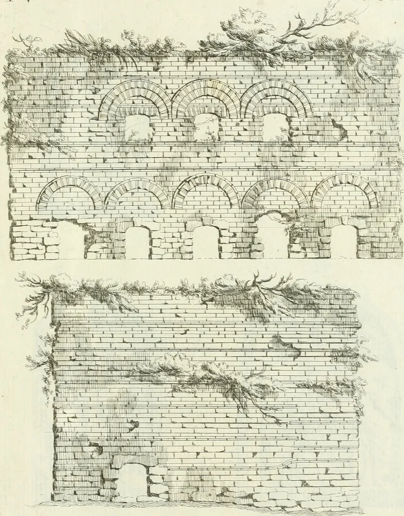 An illustration from Recueil d'antiquités egyptiennes, etrusques, grecques et romaines, 1756, leaf 610