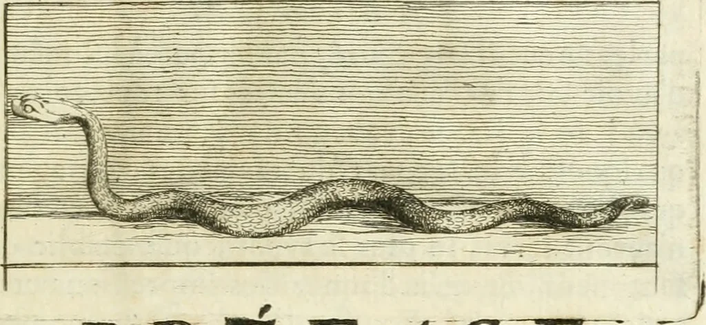 An illustration from Recueil d'antiquités egyptiennes, etrusques, grecques et romaines, 1756, leaf 10