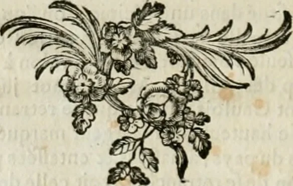 An illustration from Recueil d'antiquités egyptiennes, etrusques, grecques et romaines, 1756, leaf 25