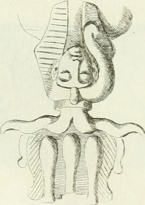 An illustration from Recueil d'antiquités egyptiennes, etrusques, grecques et romaines, 1756, leaf 458