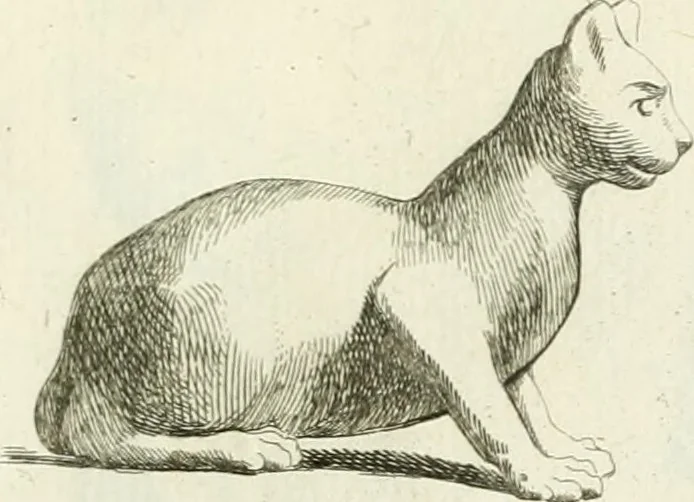 An illustration from Recueil d'antiquités egyptiennes, etrusques, grecques et romaines, 1756, leaf 476