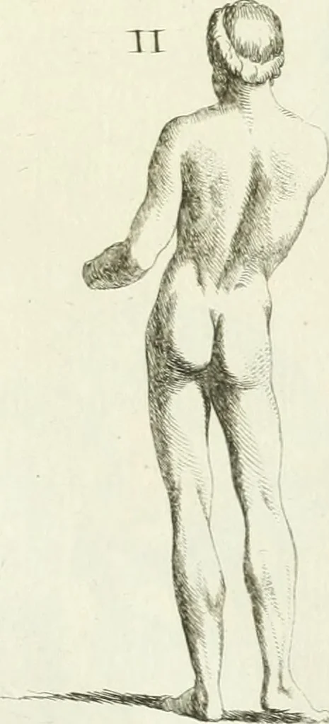 An illustration from Recueil d'antiquités egyptiennes, etrusques, grecques et romaines, 1756, leaf 520