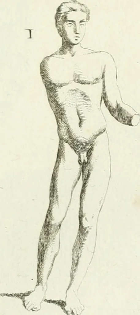 An illustration from Recueil d'antiquités egyptiennes, etrusques, grecques et romaines, 1756, leaf 520
