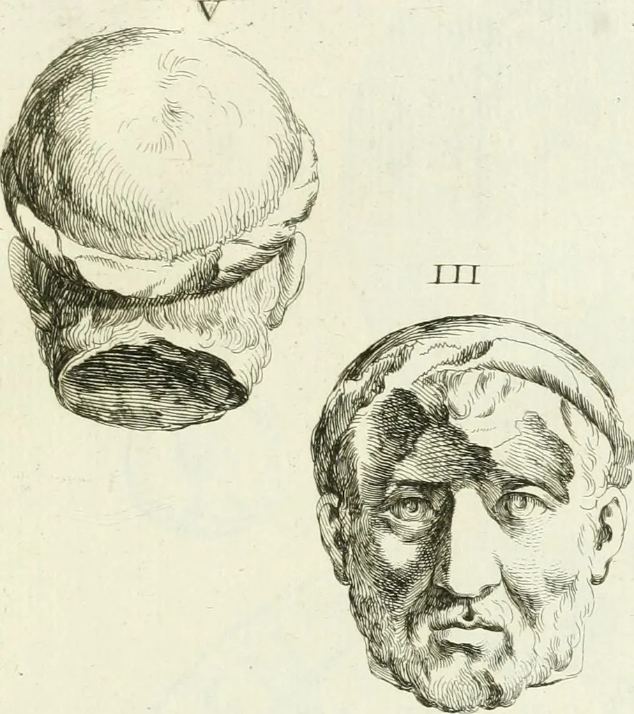 An illustration from Recueil d'antiquités egyptiennes, etrusques, grecques et romaines, 1756, leaf 530