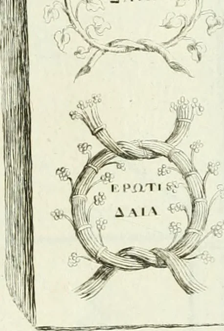 An illustration from Recueil d'antiquités egyptiennes, etrusques, grecques et romaines, 1756, leaf 558