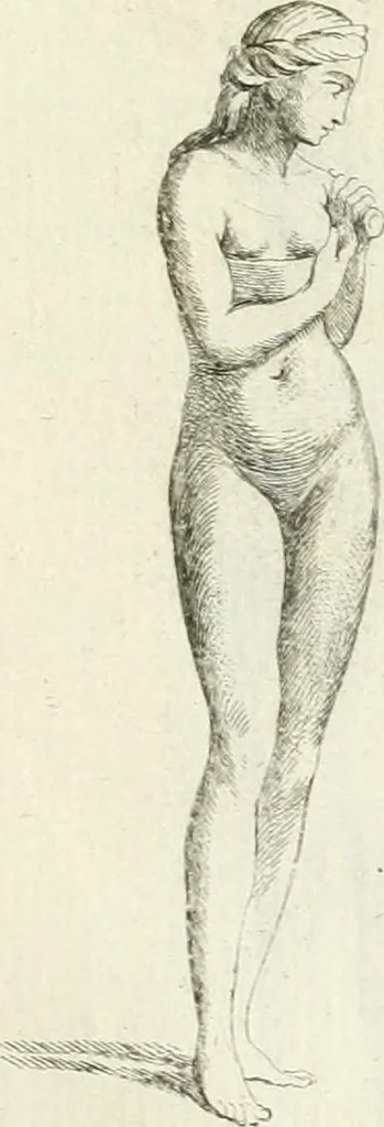 An illustration from Recueil d'antiquités egyptiennes, etrusques, grecques et romaines, 1756, leaf 584