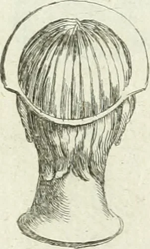 An illustration from Recueil d'antiquités egyptiennes, etrusques, grecques et romaines, 1756, leaf 584
