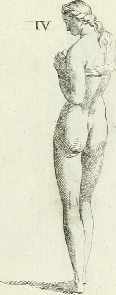 An illustration from Recueil d'antiquités egyptiennes, etrusques, grecques et romaines, 1756, leaf 584