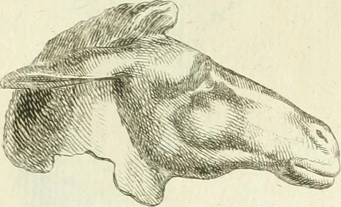 An illustration from Recueil d'antiquités egyptiennes, etrusques, grecques et romaines, 1756, leaf 590