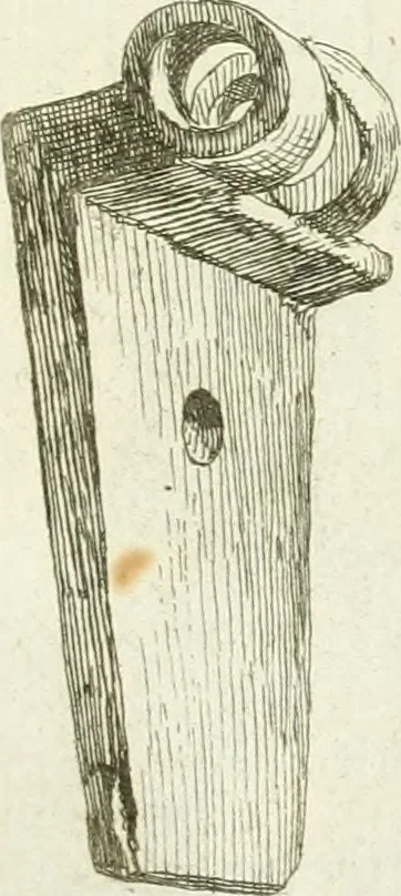 An illustration from Recueil d'antiquités egyptiennes, etrusques, grecques et romaines, 1756, leaf 598