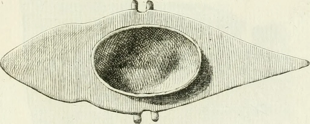 An illustration from Recueil d'antiquités egyptiennes, etrusques, grecques et romaines, 1756, leaf 630