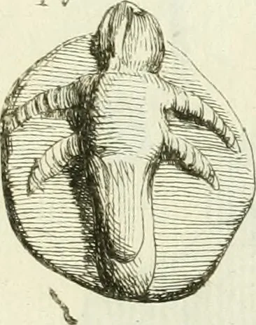 An illustration from Recueil d'antiquités egyptiennes, etrusques, grecques et romaines, 1756, leaf 632