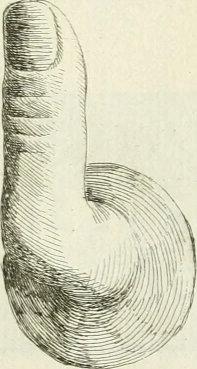 An illustration from Recueil d'antiquités egyptiennes, etrusques, grecques et romaines, 1756, leaf 638