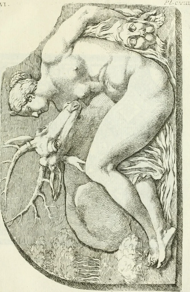 An illustration from Recueil d'antiquités egyptiennes, etrusques, grecques et romaines, 1756, leaf 658