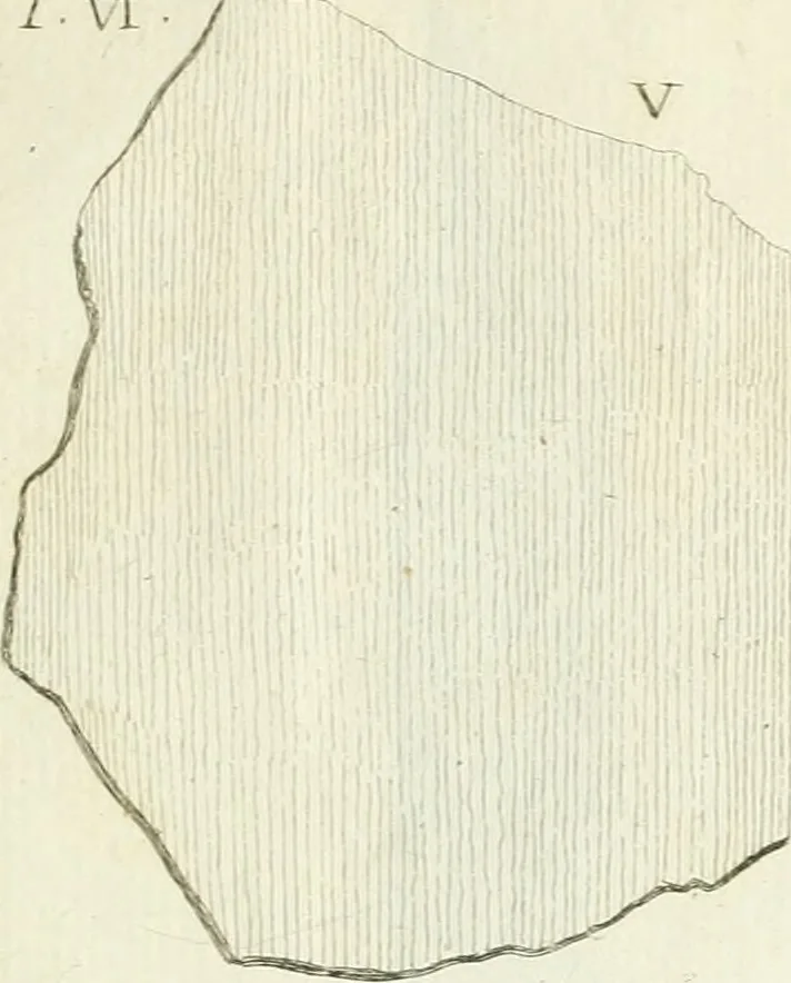 An illustration from Recueil d'antiquités egyptiennes, etrusques, grecques et romaines, 1756, leaf 698