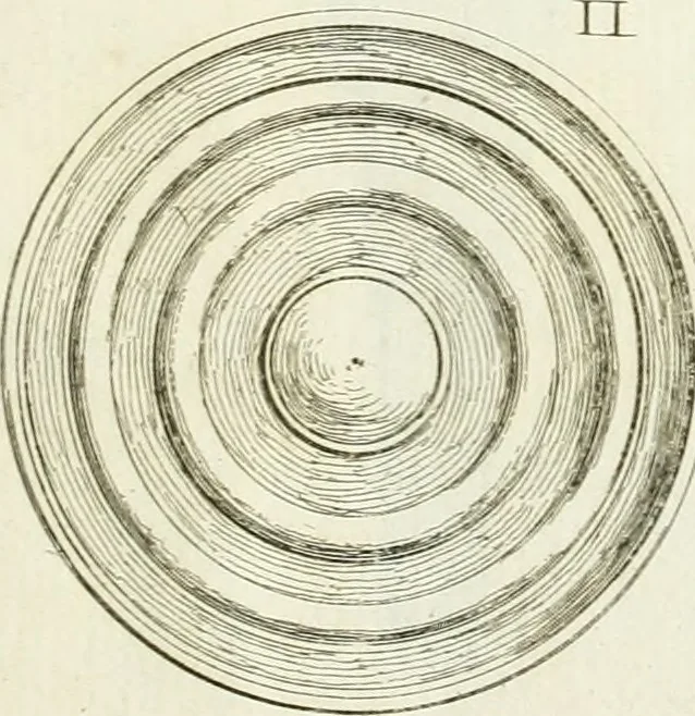 An illustration from Recueil d'antiquités egyptiennes, etrusques, grecques et romaines, 1756, leaf 698