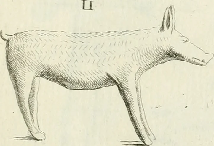 An illustration from Recueil d'antiquités egyptiennes, etrusques, grecques et romaines, 1756, leaf 402