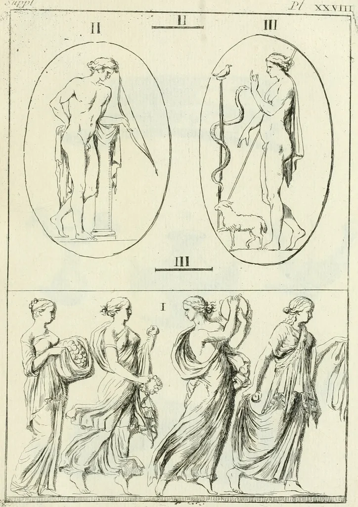 An illustration from Recueil d'antiquités egyptiennes, etrusques, grecques et romaines, 1756, leaf 428