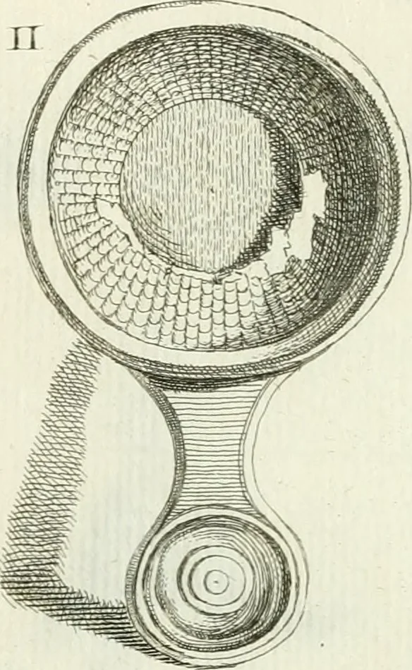 An illustration from Recueil d'antiquités egyptiennes, etrusques, grecques et romaines, 1756, leaf 510