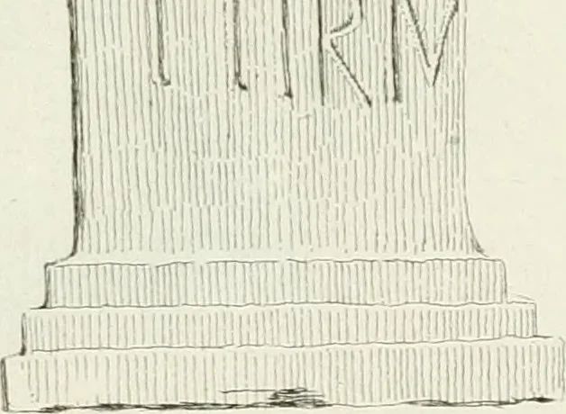An illustration from Recueil d'antiquités egyptiennes, etrusques, grecques et romaines, 1756, leaf 518
