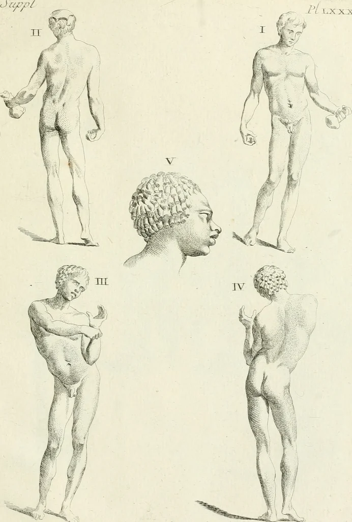 An illustration from Recueil d'antiquités egyptiennes, etrusques, grecques et romaines, 1756, leaf 534