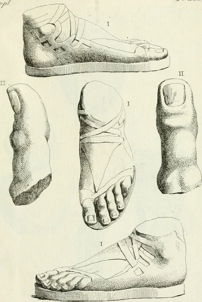 An illustration from Recueil d'antiquités egyptiennes, etrusques, grecques et romaines, 1756, leaf 556