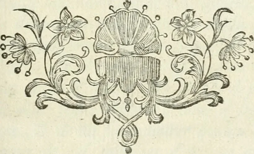An illustration from Recueil d'antiquités egyptiennes, etrusques, grecques et romaines, 1756, leaf 6