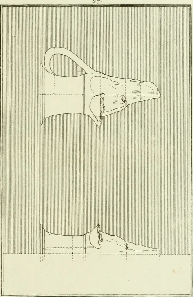 An illustration from Antiquités étrusques, grecques et romaines : ou les beaux vases étrusques, grecs et romains, et les peintures rendues avec les couleurs qui leur sont propres, 1787, leaf 170