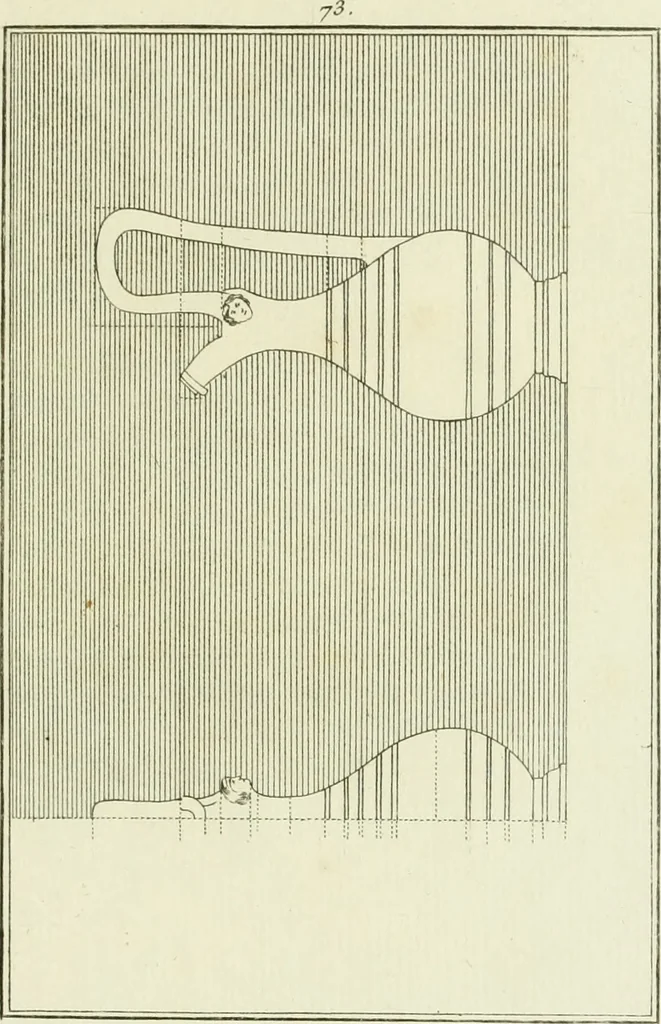 An illustration from Antiquités étrusques, grecques et romaines : ou les beaux vases étrusques, grecs et romains, et les peintures rendues avec les couleurs qui leur sont propres, 1787, leaf 260