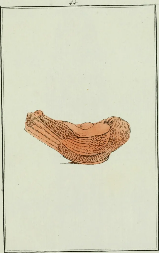 An illustration from Antiquités étrusques, grecques et romaines : ou les beaux vases étrusques, grecs et romains, et les peintures rendues avec les couleurs qui leur sont propres, 1787, leaf 208