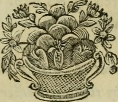 An illustration from A description of the antiquities and curiosities in Wilton-House : illustrated with twenty-five engravings of some of the capital statues, bustos and relievos : in this work are introduced the anecdotes and remarks of Thomas earl of Pembroke, who collected these antiques, now first published from His Lordship's mss., 1769, leaf 128
