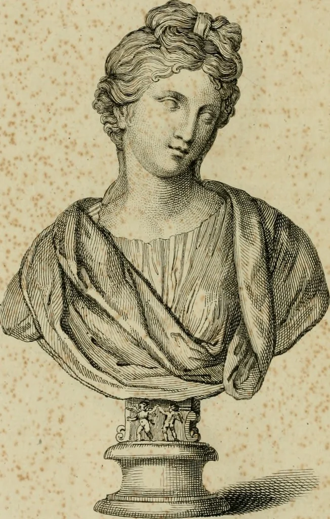 An illustration from A description of the antiquities and curiosities in Wilton-House : illustrated with twenty-five engravings of some of the capital statues, bustos and relievos : in this work are introduced the anecdotes and remarks of Thomas earl of Pembroke, who collected these antiques, now first published from His Lordship's mss., 1769, leaf 135