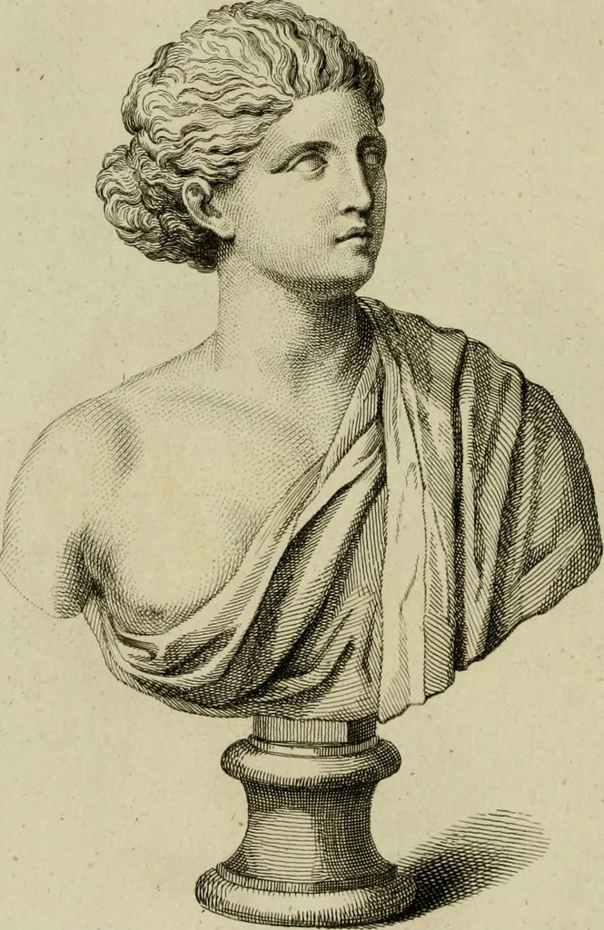 An illustration from A description of the antiquities and curiosities in Wilton-House : illustrated with twenty-five engravings of some of the capital statues, bustos and relievos : in this work are introduced the anecdotes and remarks of Thomas earl of Pembroke, who collected these antiques, now first published from His Lordship's mss., 1769, leaf 159