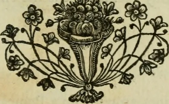 An illustration from A description of the antiquities and curiosities in Wilton-House : illustrated with twenty-five engravings of some of the capital statues, bustos and relievos : in this work are introduced the anecdotes and remarks of Thomas earl of Pembroke, who collected these antiques, now first published from His Lordship's mss., 1769, leaf 170