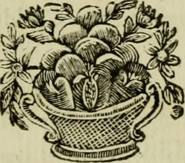 An illustration from A description of the antiquities and curiosities in Wilton-House : illustrated with twenty-five engravings of some of the capital statues, bustos and relievos : in this work are introduced the anecdotes and remarks of Thomas earl of Pembroke, who collected these antiques, now first published from His Lordship's mss., 1769, leaf 184