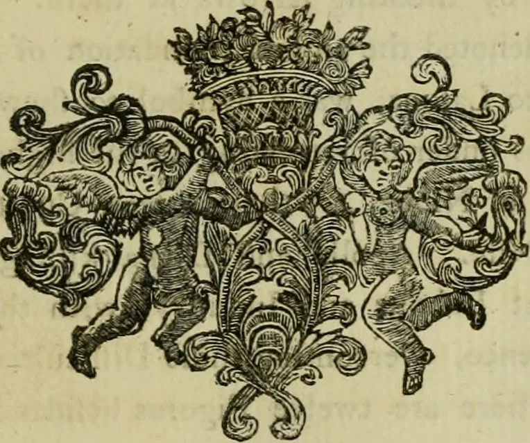 An illustration from A description of the antiquities and curiosities in Wilton-House : illustrated with twenty-five engravings of some of the capital statues, bustos and relievos : in this work are introduced the anecdotes and remarks of Thomas earl of Pembroke, who collected these antiques, now first published from His Lordship's mss., 1769, leaf 74