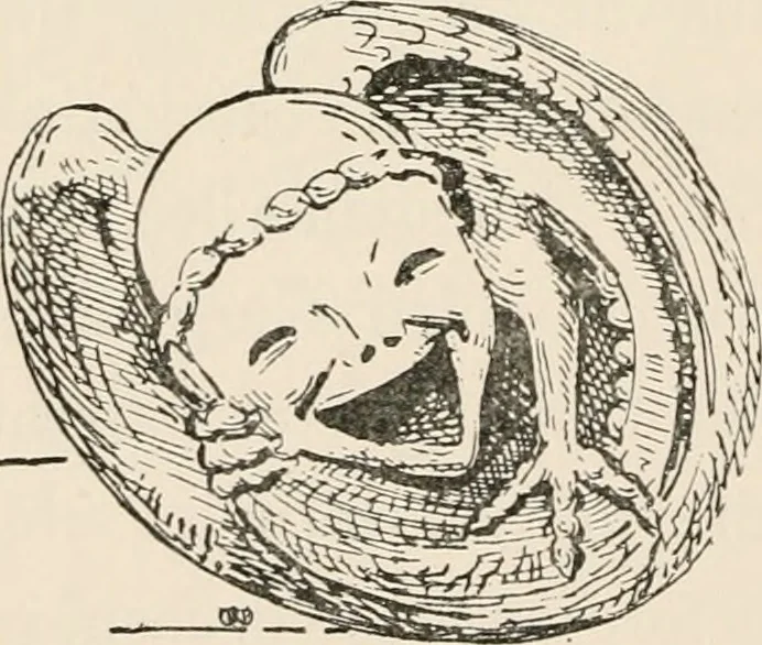 An illustration from Antiquities and curiosities of the church, 1897, leaf 185