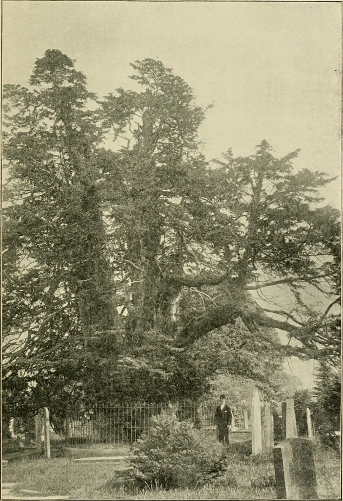 An illustration from Antiquities and curiosities of the church, 1897, leaf 276