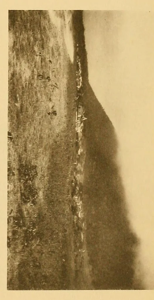 An illustration from The antiquities of Manabi, Ecuador; final report, 1910, leaf 343