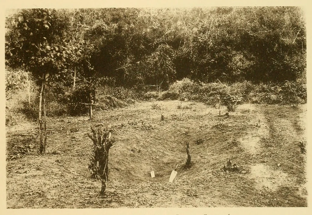 An illustration from The antiquities of Manabi, Ecuador; final report, 1910, leaf 359