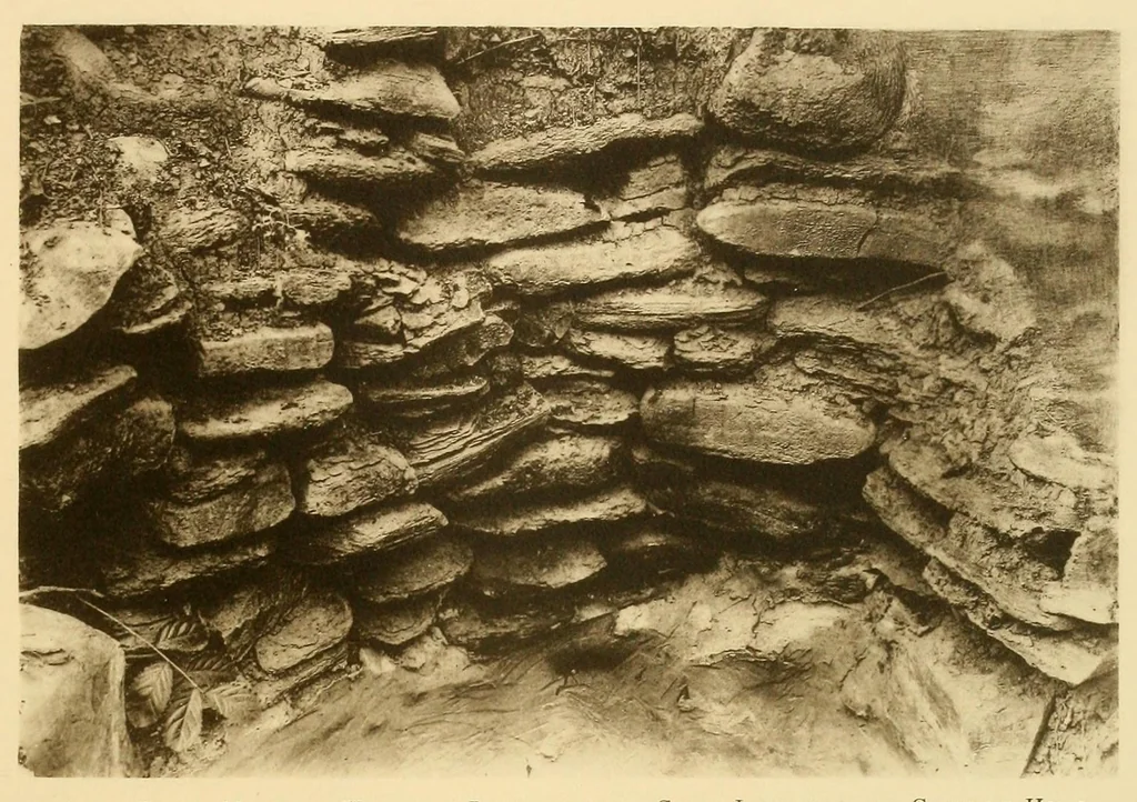 An illustration from The antiquities of Manabi, Ecuador; final report, 1910, leaf 373