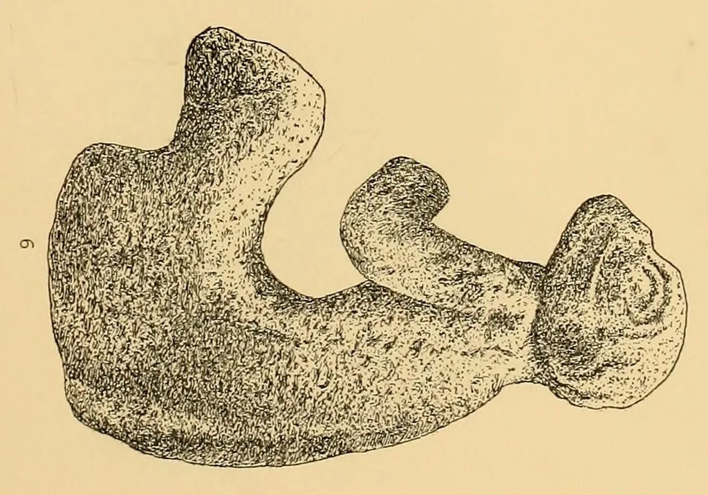 An illustration from The antiquities of Manabi, Ecuador; final report, 1910, leaf 405